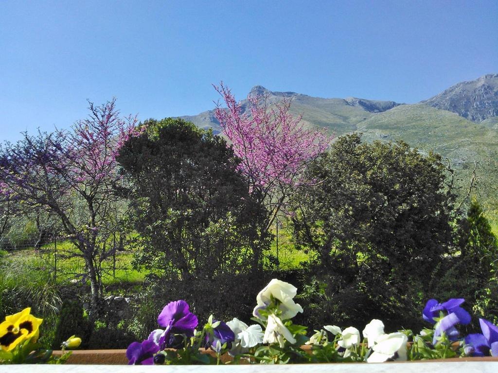 فورميا B&B Villa Ada المظهر الخارجي الصورة