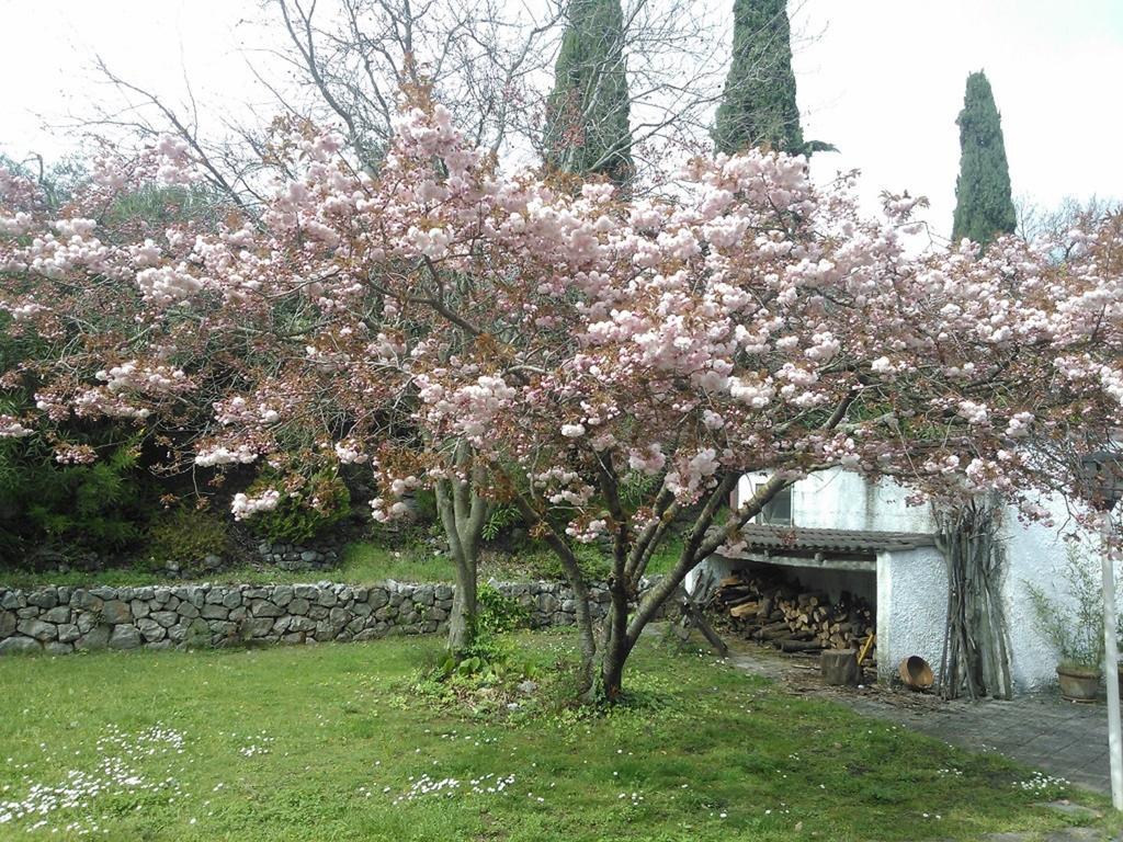 فورميا B&B Villa Ada المظهر الخارجي الصورة