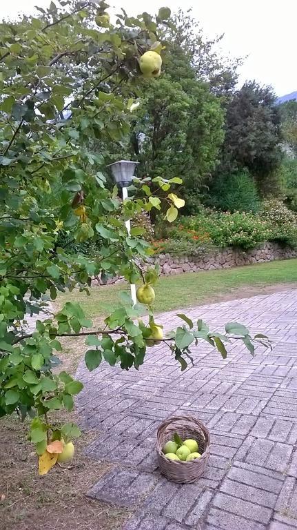 فورميا B&B Villa Ada المظهر الخارجي الصورة